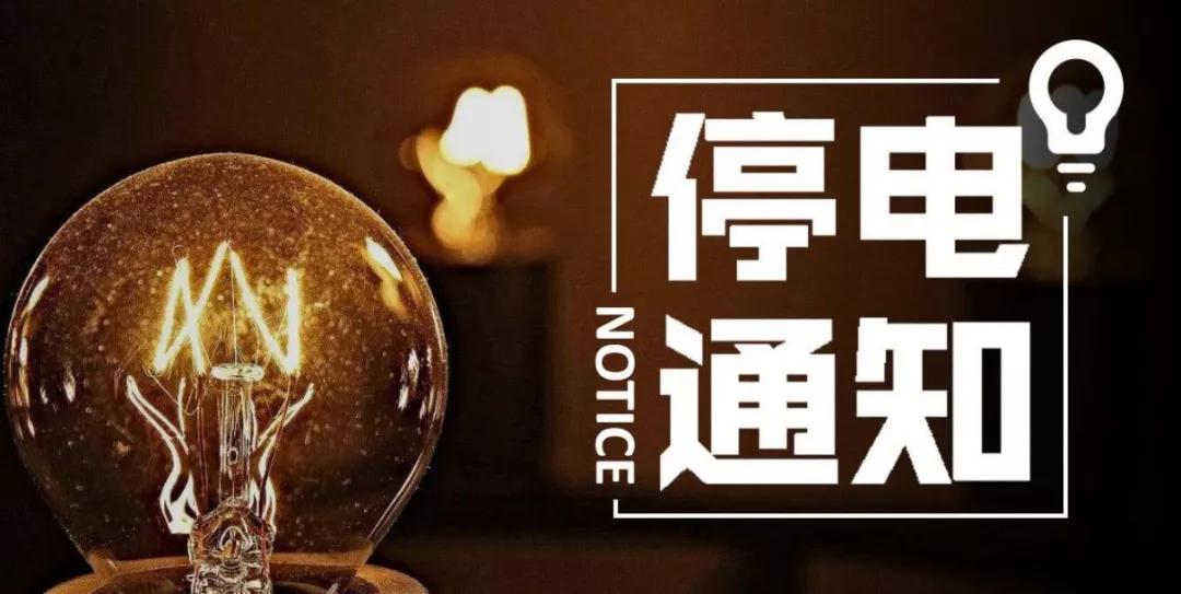 最新公告详解步骤指南