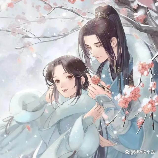 西子情最新小说梦幻爱情故事即将上演，梦幻般的爱情故事篇章