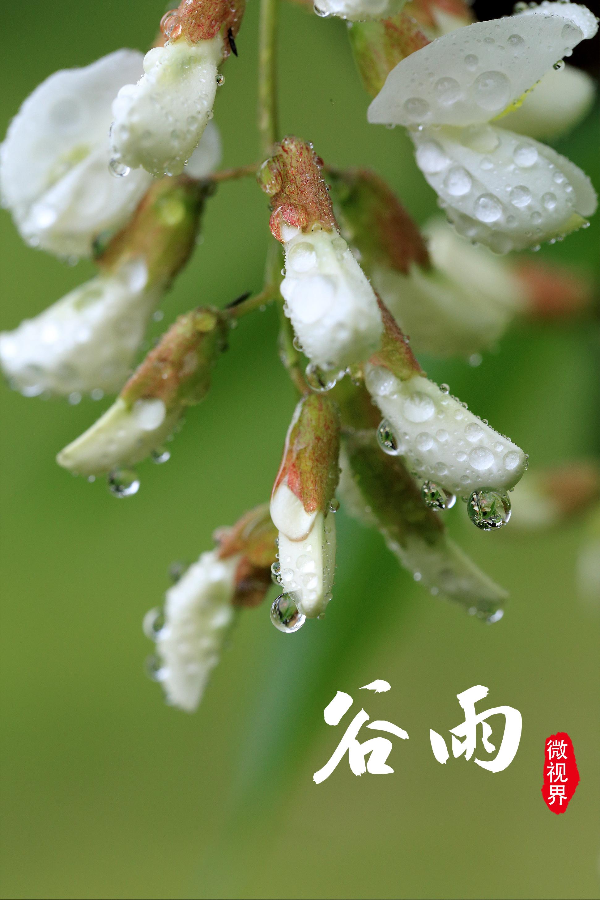 宜昌市区最新地图，探索城市新视界