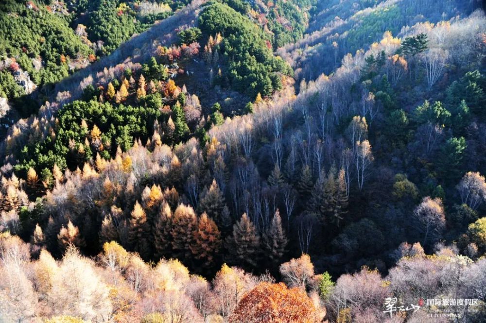 寻求内心平和与宁静的旅程