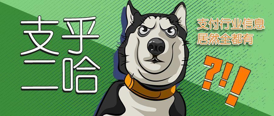 盲人最新动态，技术革新引发社会共同关注