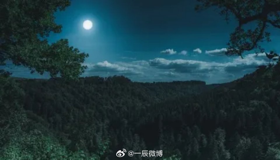 马月光最新动态揭秘，带你领略梦幻月光世界的魅力！