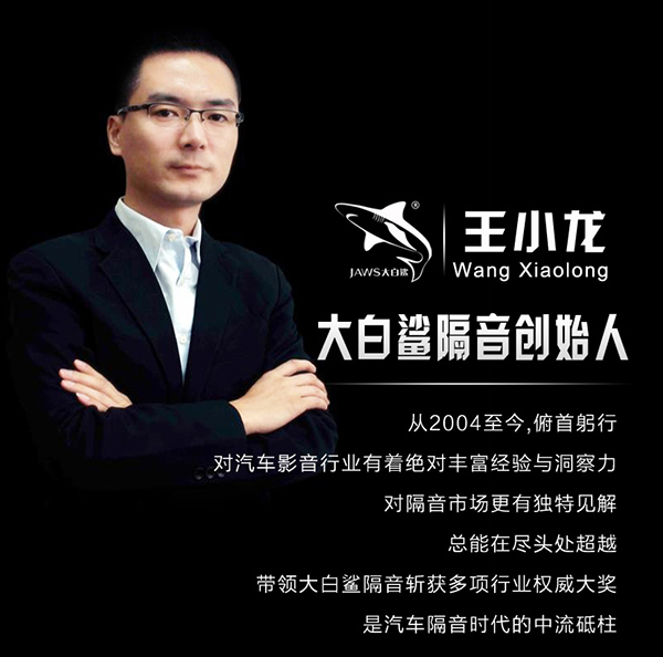 王小龙最新动态与观点论述概览