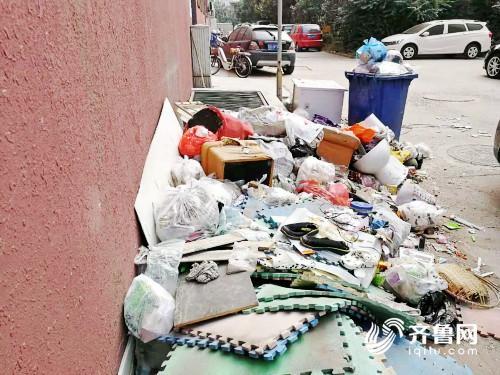 王先生家的温馨日常，一场家庭时光的记录