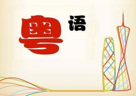 广东最新翻译探析与研究动态速递