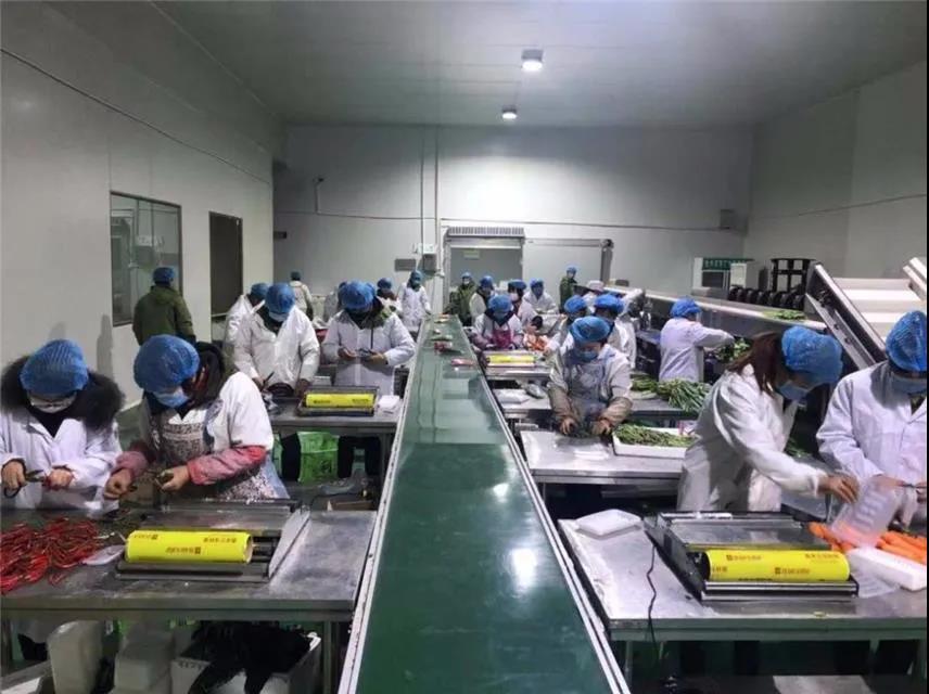 最新疫情详细分析与观点阐述