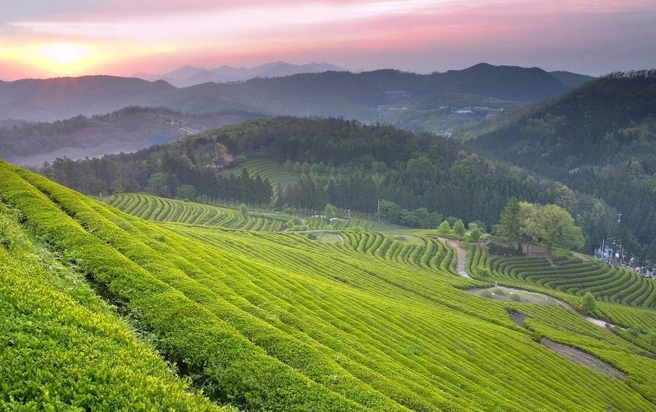 迷宫饭最新篇章，轻松探索自然美景的冒险之旅