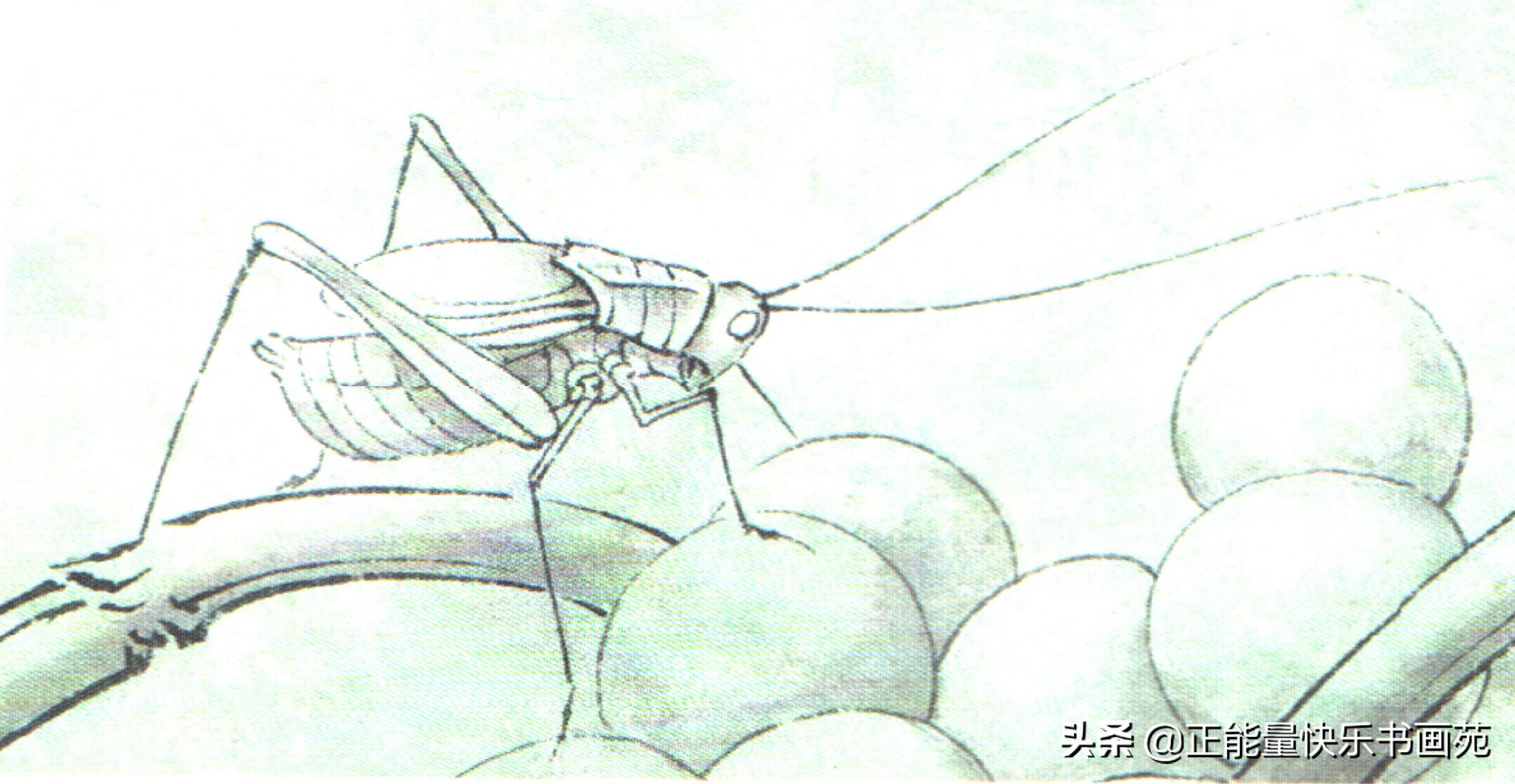 最新眼部手术步骤指南详解