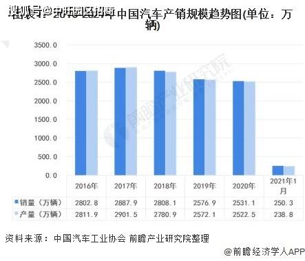 熊猫基地最新动态，双刃剑效应的影响分析与发展展望