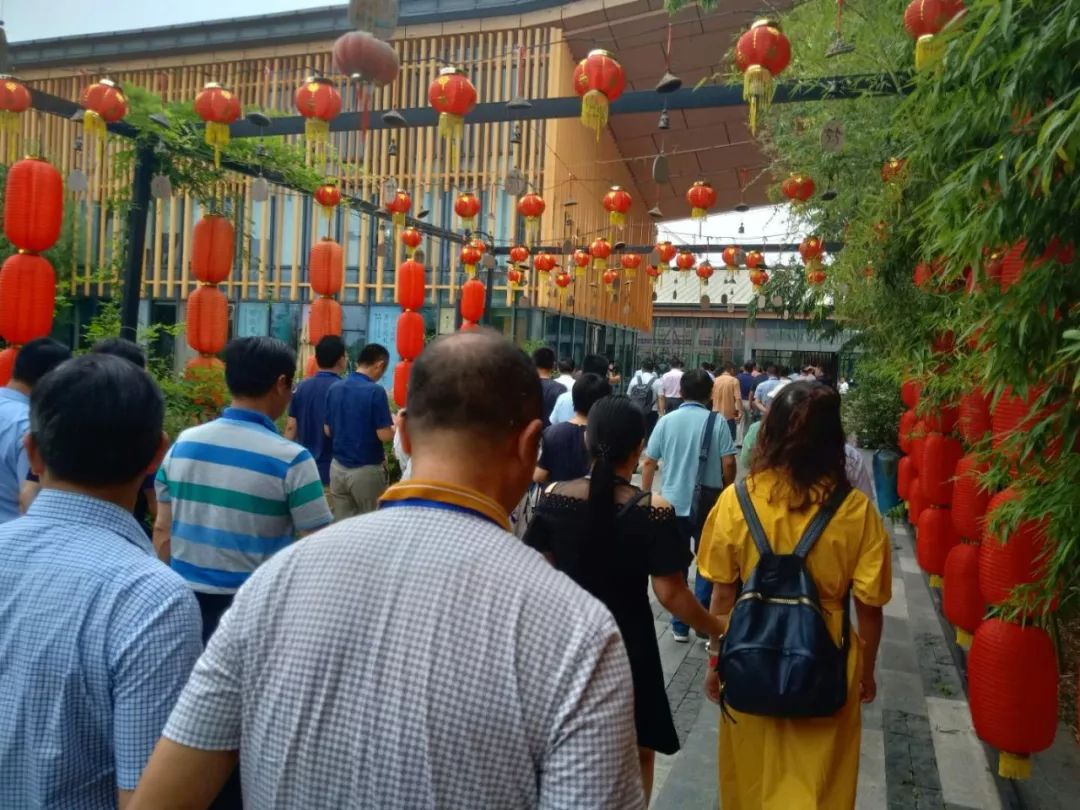 阳山最新动态，欢乐时光中的温馨日常