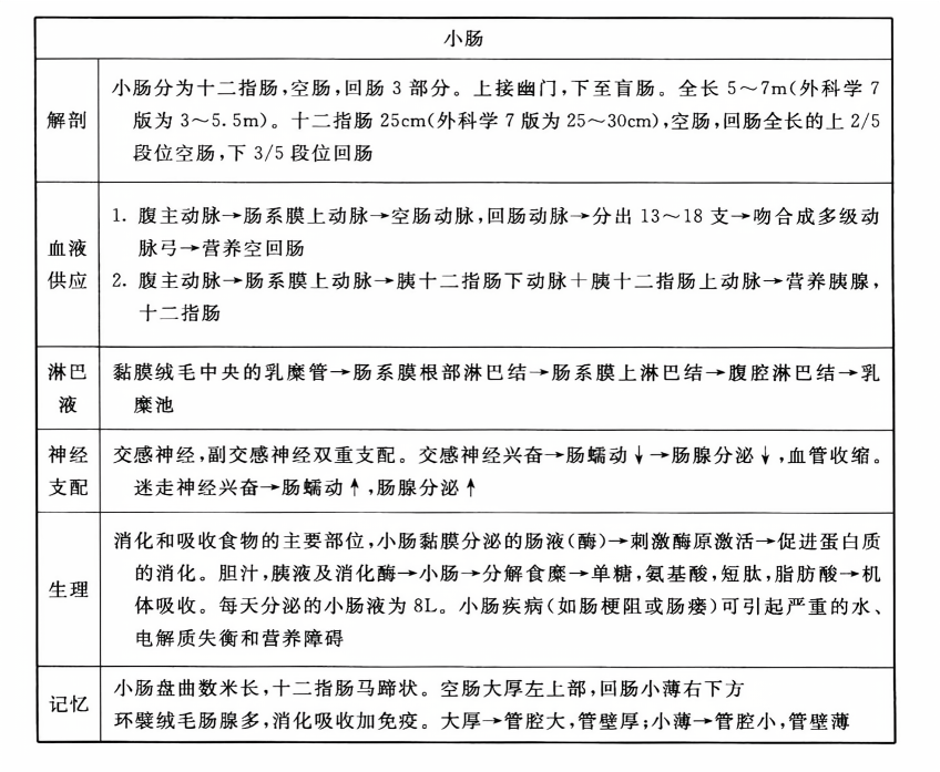 最新小肠检查技术观点论述，探索小肠检查的新方法与技术进展