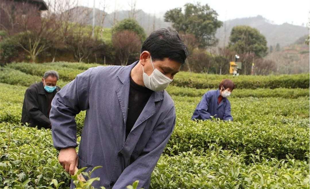 疫情新常态下的养殖秘籍