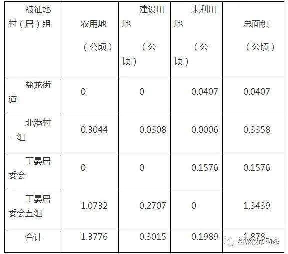 蝗虫最新灾难，应对指南与策略探讨