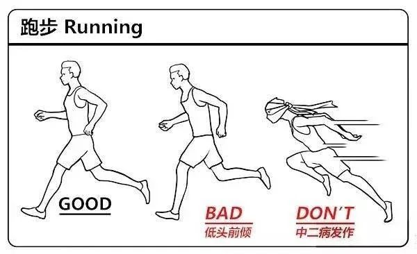 最新肢体再生步骤指南，探索肢体再生的前沿技术与实践