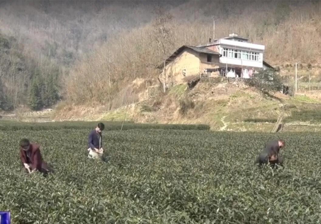 疫情最新周报，启程心灵之旅，大自然呼唤的声音