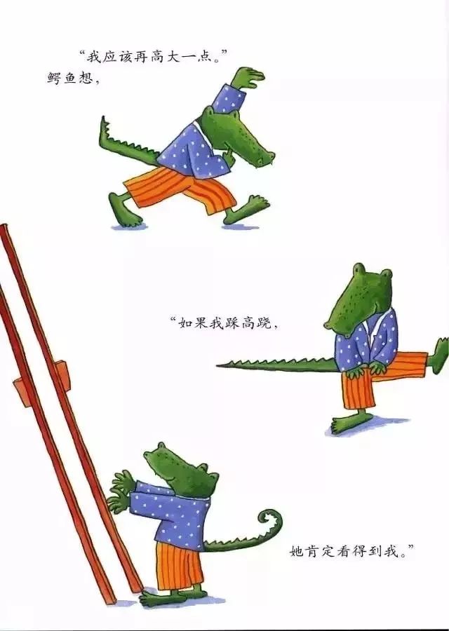 伐木累最新日常，温馨有趣的日常故事