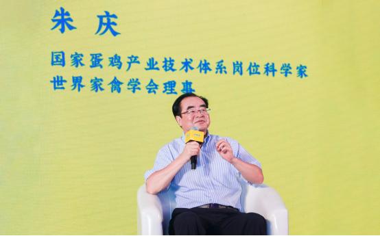 科技重塑生活，智能鸡蛋系统引领新时代，揭示最新鸡蛋成本