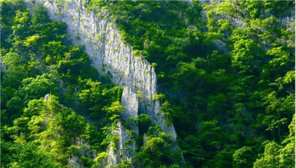 最新蜀国阵容，自然美景探索之旅