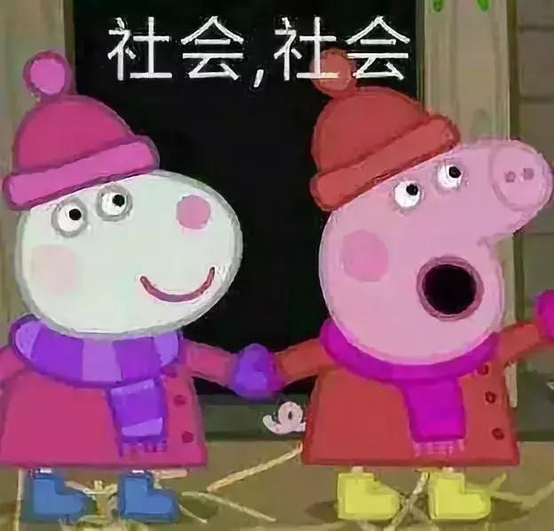 惠小猪最新，智能科技引领未来生活的新宠儿