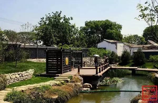 最新专业卡引领自然美景之旅，探寻内心平和之地