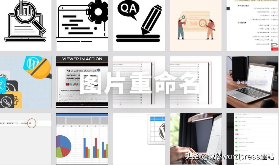 SEO优化秘籍