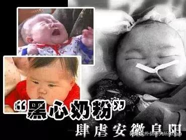 安婴儿奶粉最新事件揭秘，小巷深处的隐藏宝藏