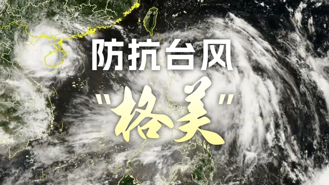 台风最新动态，风雨中的励志故事，成就自信与成长之路