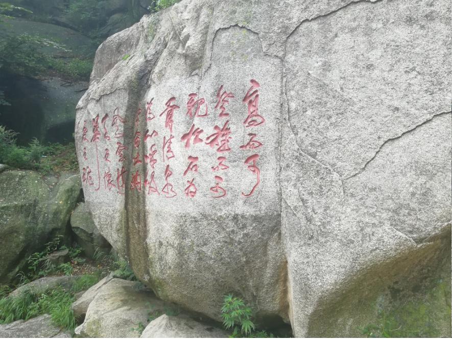 道界天下，探索自我，成就无限可能的阅读之旅（最新章节全文免费阅读）