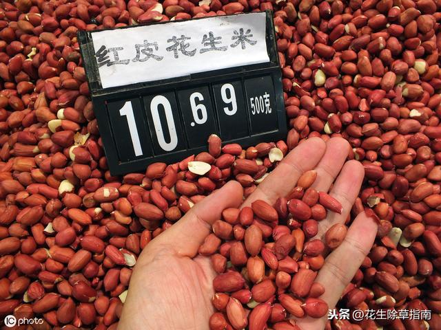 花生米价格最新行情动态