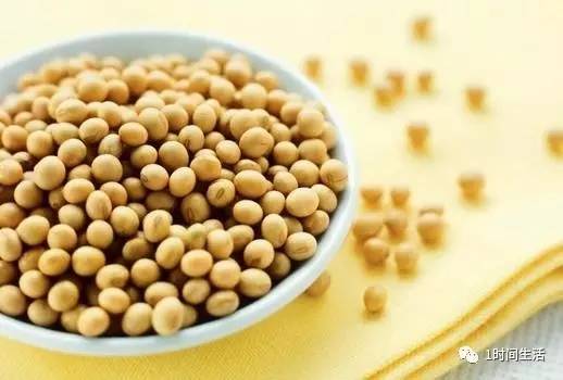 大豆价格最新行情，奇妙旅程与友情的温暖故事