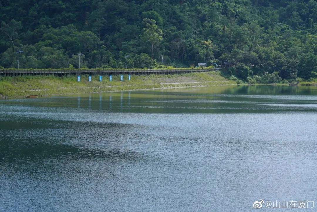 安卓系统最新版本，与大自然的共舞之旅