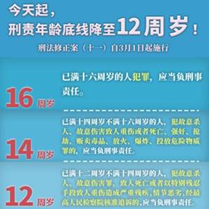 最新规定解析