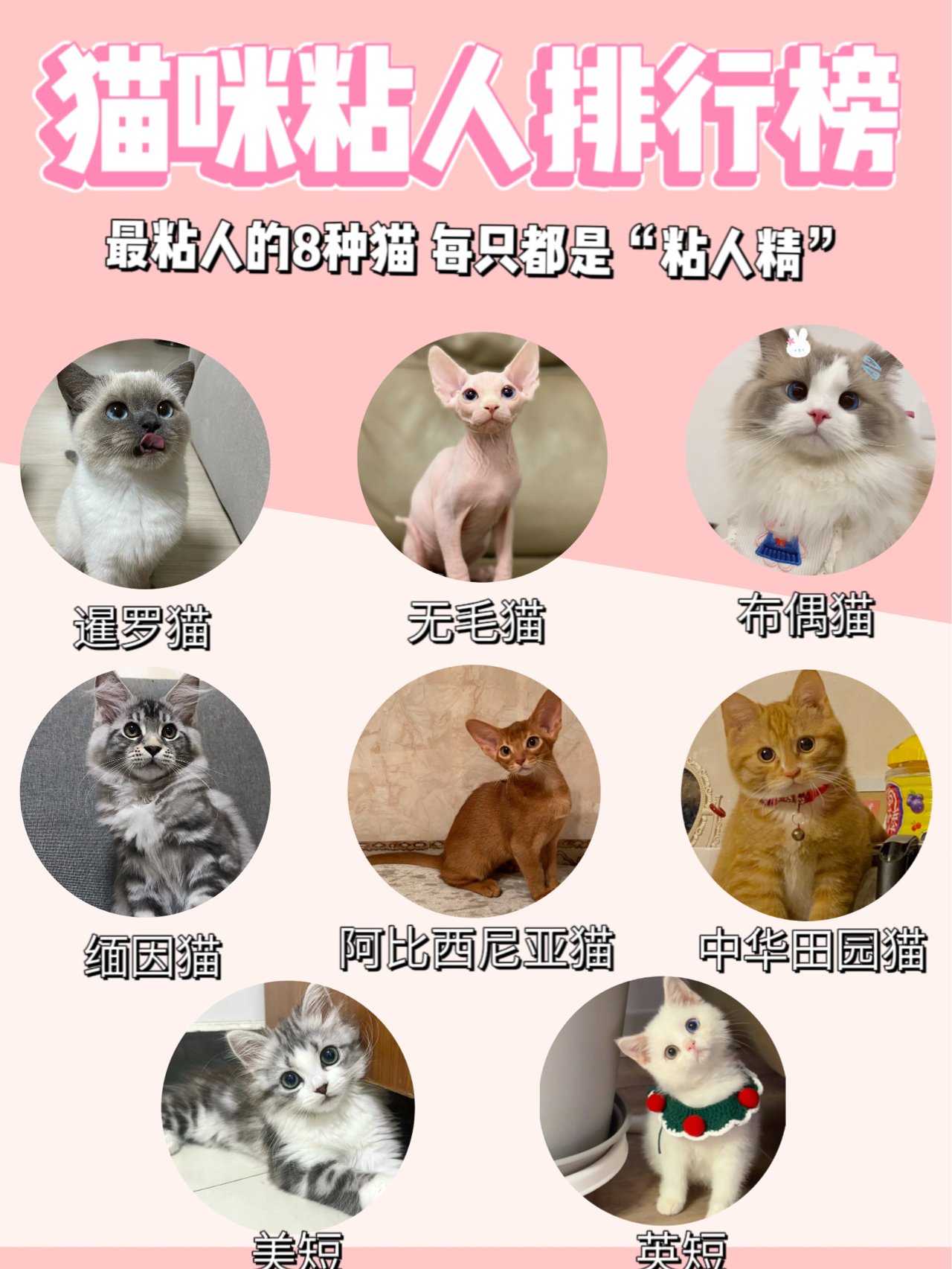HDPE双壁波纹管 第215页