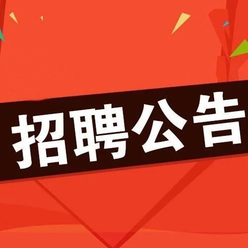 金利招聘网最新招聘，友情纽带与工作奇遇的双重机遇