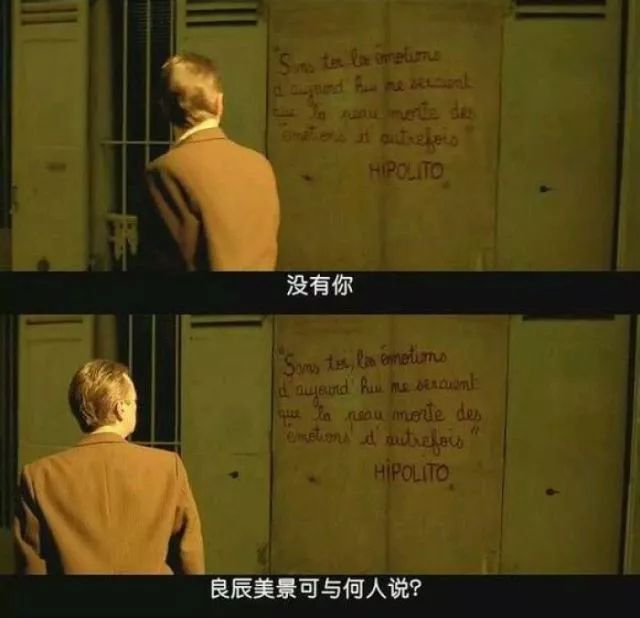 探索自然美景之旅，最新电影与内心的平和——6V电影网带你领略