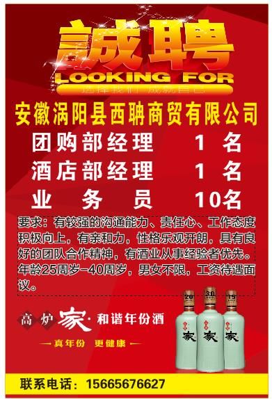 团队招募/加入