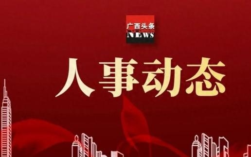 广西最新人事任免，解读及观点阐述
