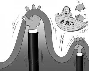 学习提升自信与成就感