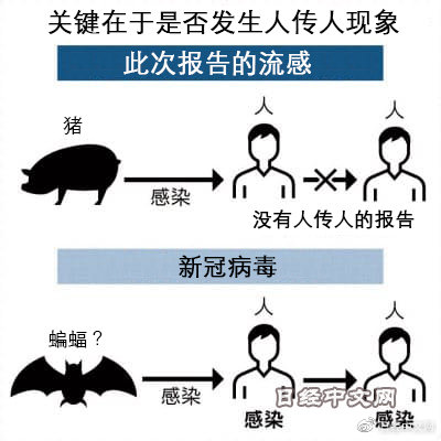 动物流感