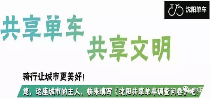 最新学情达探讨，深度解析与进展更新