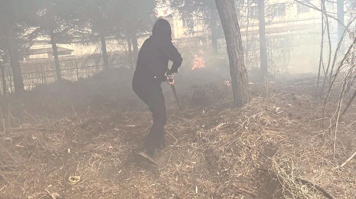 最新燎草视频火爆全网，掀起观看热潮！