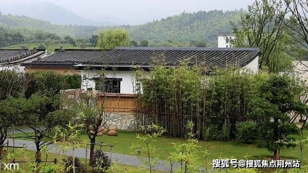 永太公告最新深度解析与观点阐述，最新动态一览无余