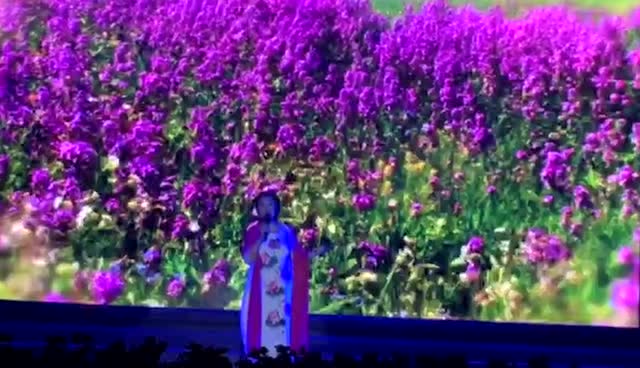 阿紫最新诗歌，诗意情感流淌，绽放独特韵味