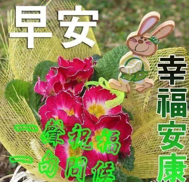 早安祝福最新图片集锦🌞