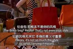 莎头图片最新