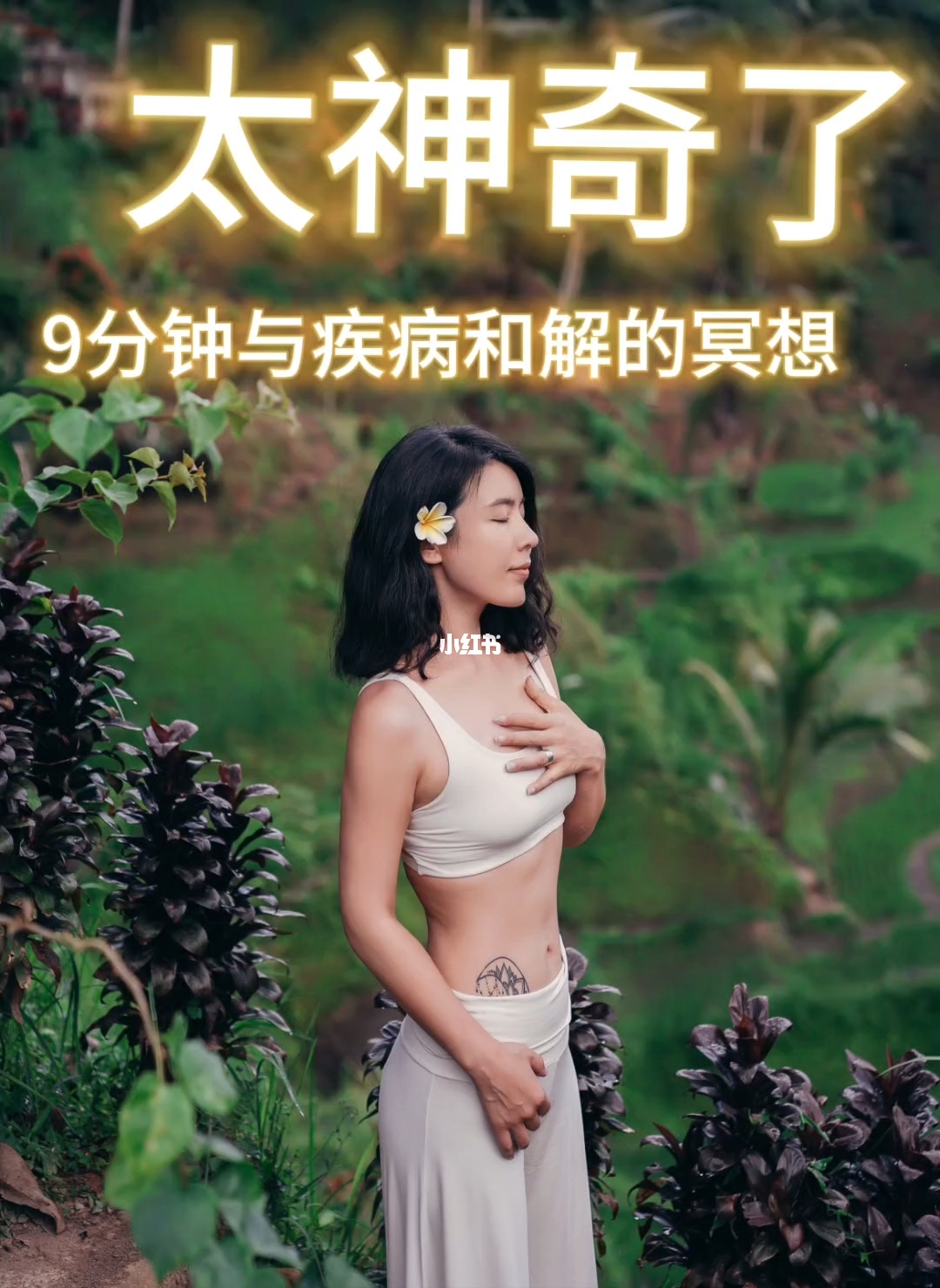 医祸后宫最新，心灵之旅，探寻自然疗愈之力