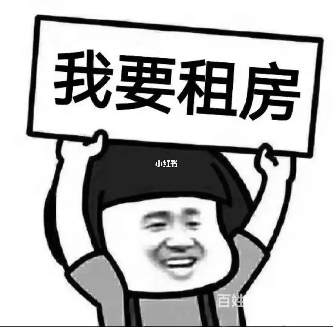 新余最新求租指南，步骤详解