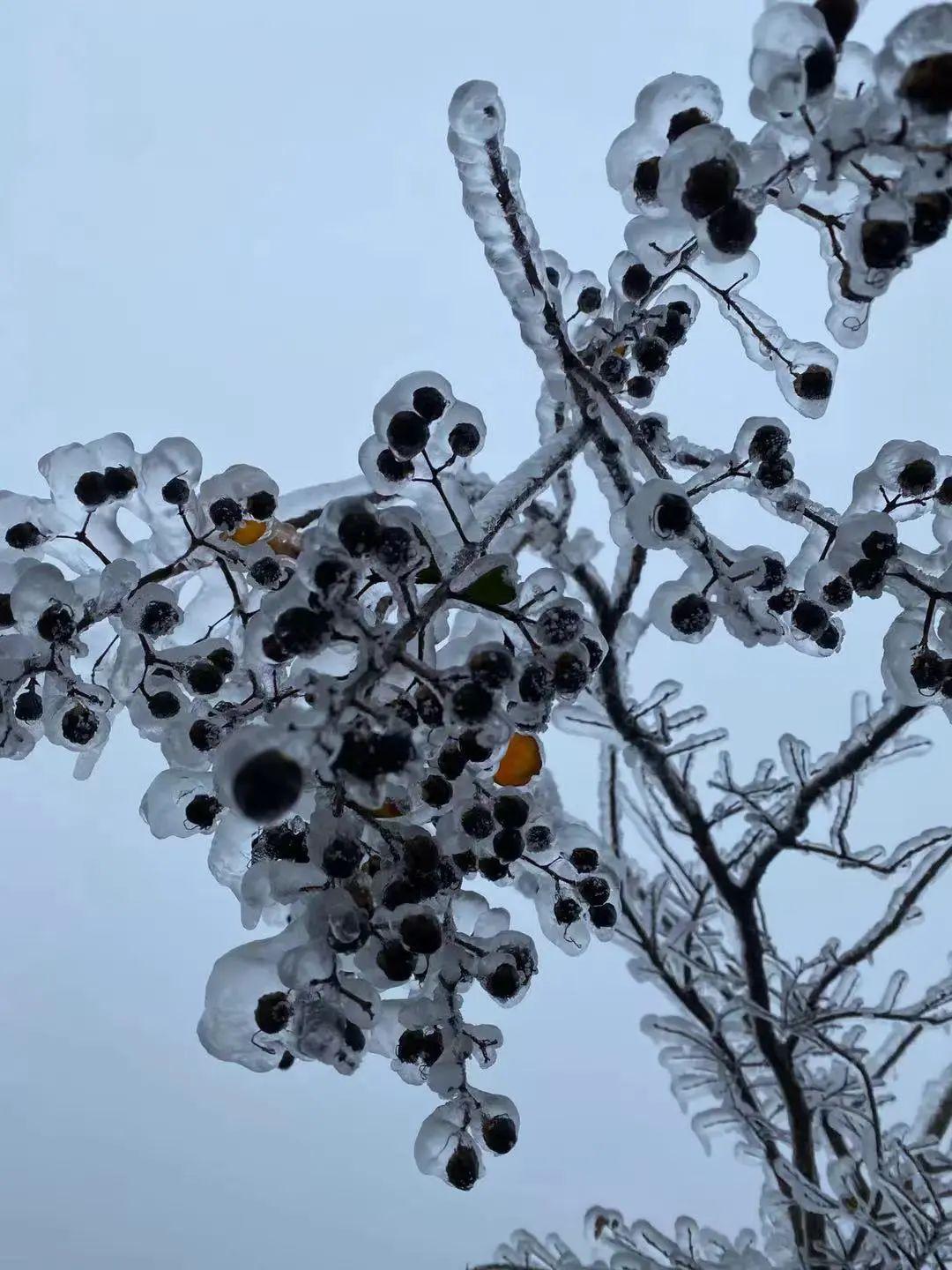 探索自然美景的轻松之旅，最新援器会体验分享