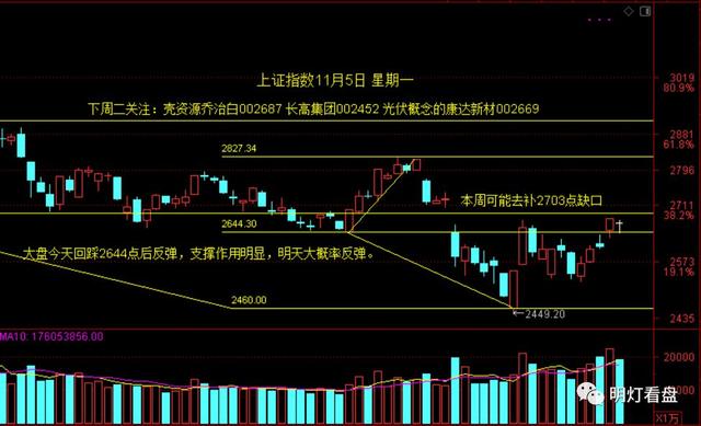 科技、娱乐与信息传播的新焦点，最新G动图震撼来袭