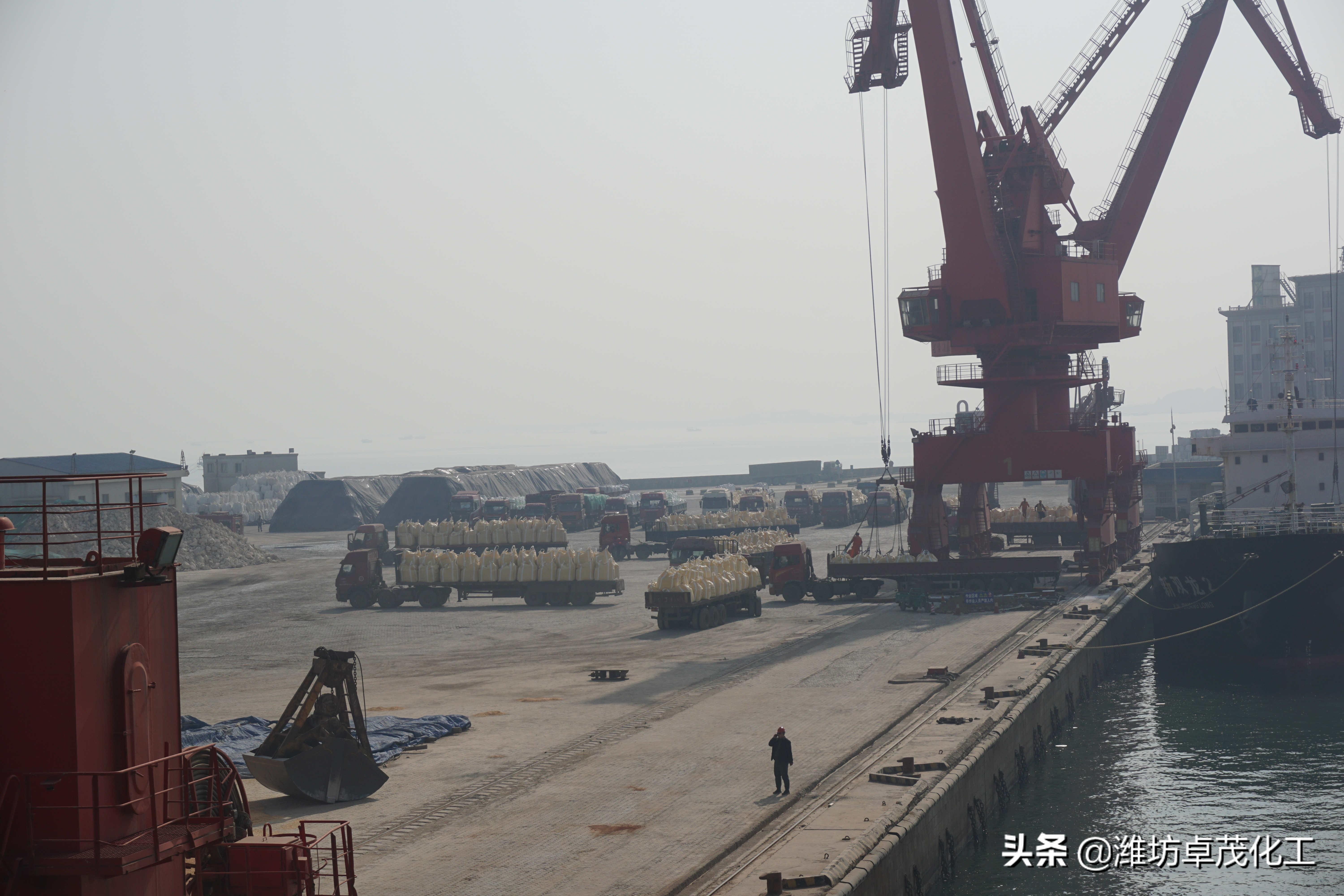 轻质纯碱最新价格详解，全面了解与获取指南